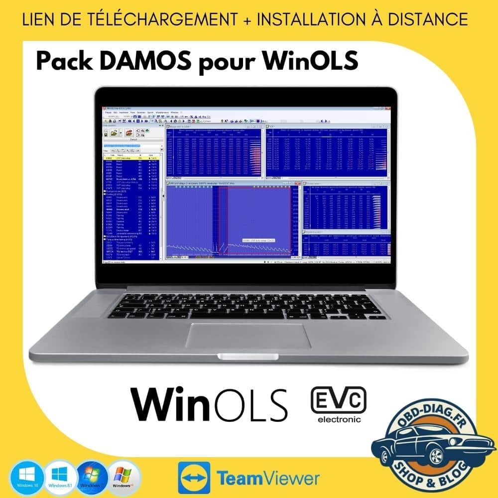 Pack Damos pour Winols - TÉLÉCHARGEMENT
